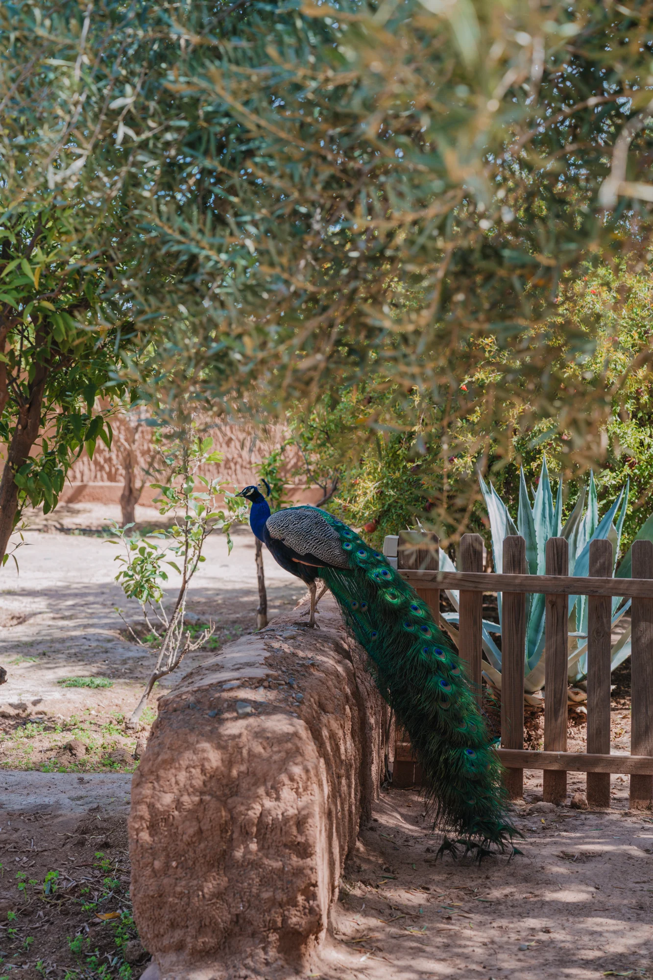 Villa D Marrakech Villa D Marrakech